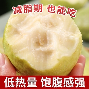 广西软心番石榴白心新鲜鸡屎果产地应季 水果奶油芭乐整箱软糯热带