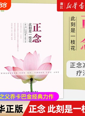 正念此刻是一枝花乔卡巴金作品集多舛的生命之道觉醒地活疗愈的力量人生自我修养书疗法认知改变正版当下沟通冥想积极经典拥抱专注