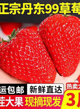 丹东草莓新鲜水果应季红颜99草莓3九九牛奶奶油大甜多规格