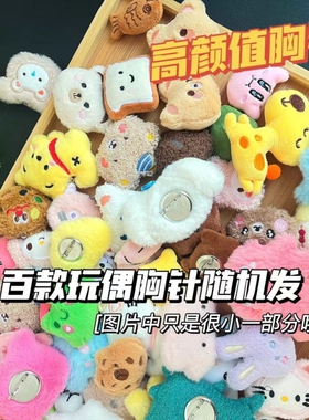 可爱别针卡通毛绒公仔玩偶胸针包包鞋袜笔袋衣服装饰挂件学生礼物