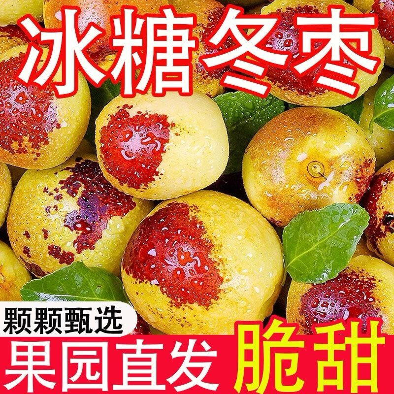时令沾化冬枣5斤装新鲜应季枣子脆枣大枣当季水果礼盒装冰糖农场