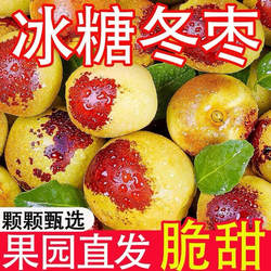 时令沾化冬枣5斤装新鲜应季枣子脆枣大枣当季水果礼盒装冰糖农场