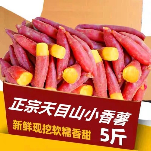 临安天目山正宗小香薯农家自种小番薯地瓜蜜薯旗舰店新鲜板栗红薯