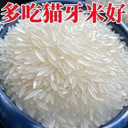 一级猫牙香米广西上林大米新米长粒香丝苗米10斤米饭优质米业煮粥