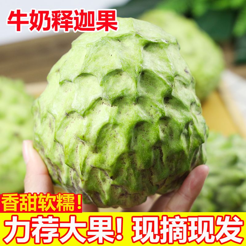 释迦果新鲜现摘大果5斤牛奶凤梨佛头果当季水果冰淇淋番荔枝大箱