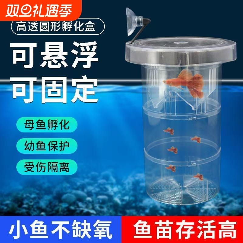鱼缸隔离盒孔雀鱼繁殖盒凤尾斑马产房小鱼缸生鱼产卵孵化悬浮漂浮
