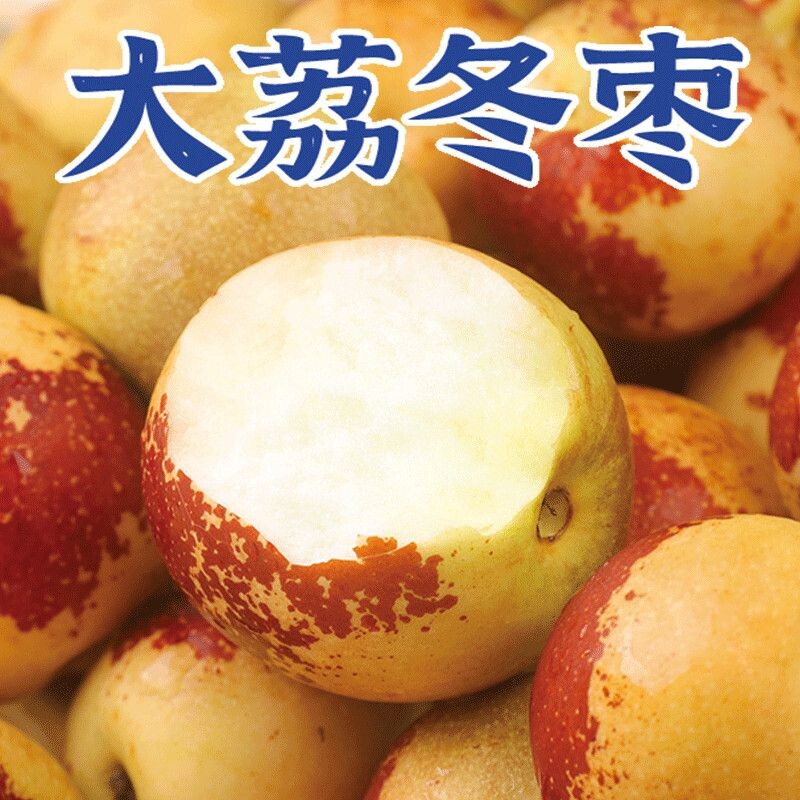 正宗陕西大荔冬枣新鲜冰糖枣子水果5斤当季脆甜香特大枣整箱包邮