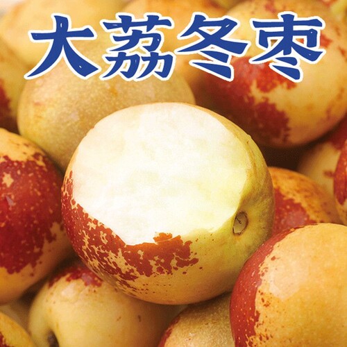 陕西大荔冬枣新鲜冰糖枣子水果5