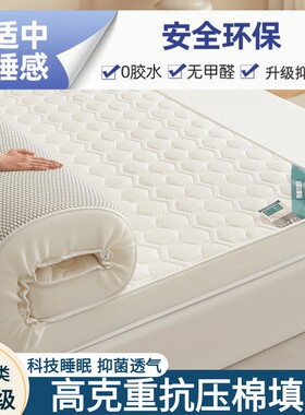 四季床垫软垫家用卧室加厚