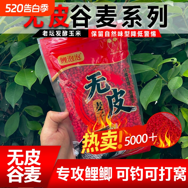 无皮谷麦江河饵料谷麦打窝料高效钓鱼窝料垂钓鲫鲤鱼饵颗粒