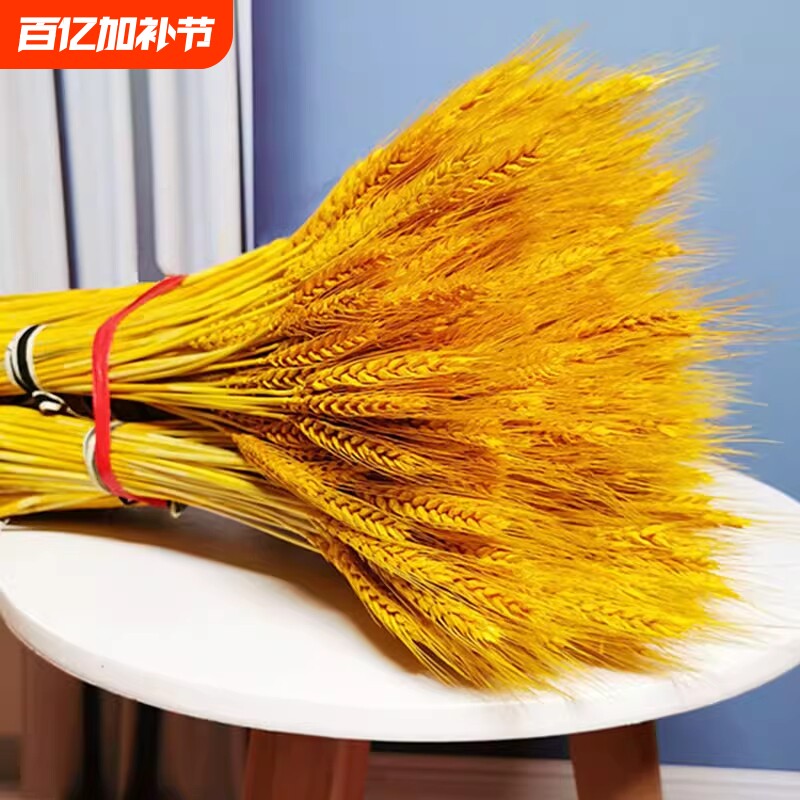 云南特产干丝干货无盐散装金丝农家自制黄丝菜春竹干花