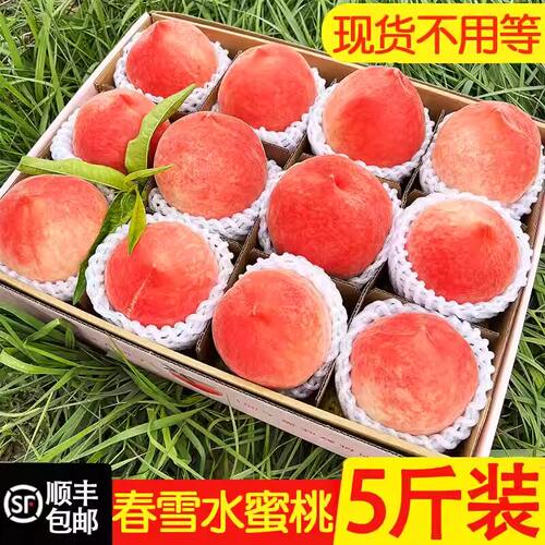 春雪水蜜桃现货桃子新鲜水果当季现摘整箱5斤鲜桃顺丰/JD包邮