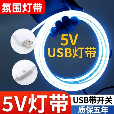 5V灯带自粘led嵌入式硅胶软灯条充电明装氛围柔性遥控幻彩灯光