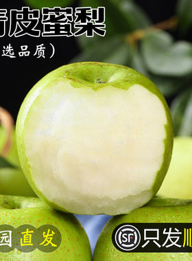 顺丰梨子新鲜水果砀山青梨皇冠梨当季翠冠梨香酥早雪梨整箱苹果梨