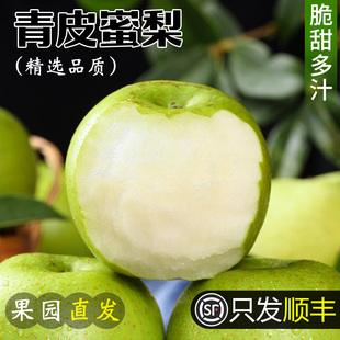 顺丰梨子新鲜水果砀山青梨皇冠梨当季翠冠梨香酥早雪梨整箱苹果梨