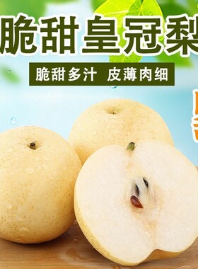 新鲜水果一级白皇冠梨脆甜多汁即食产地直发黄皮黄冠梨