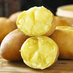 2026年新鲜土豆贵州农家自种老品种土豆洋芋马铃薯土豆洋芋