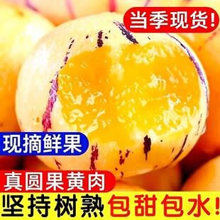 云南人参果水果圆果黄肉大果新鲜石林人叁果树上熟人生果整箱包邮
