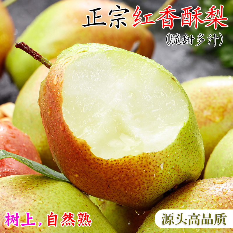 陕西红香酥梨梨子新鲜水果当应季整箱香梨包邮应季青雪酥梨现季