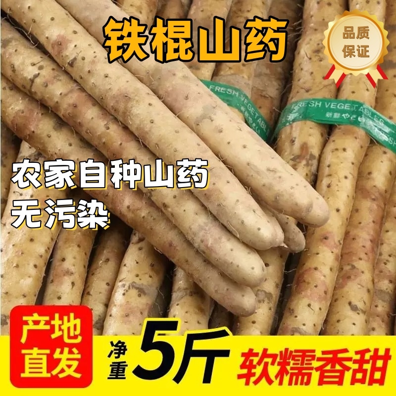 正宗现挖整箱铁棍山药新鲜蔬菜即食垆土5斤农家自种怀山药长山药