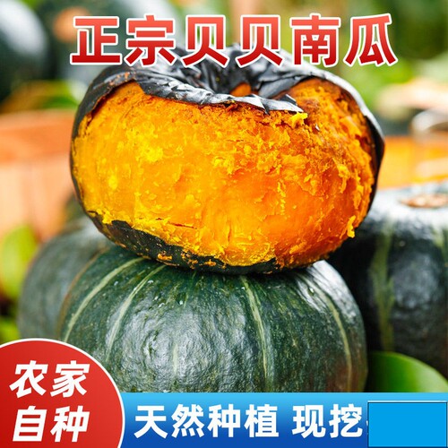 正宗贝贝南瓜板栗味老南瓜