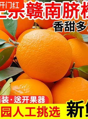 江西赣南脐橙带叶赣州当季新鲜水果手剥冰糖甜橙子10斤大果整箱