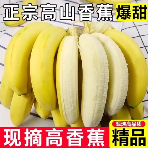 香蕉优质云南自然青皮高山现摘正宗新鲜甜糯水果当季自提热带产地