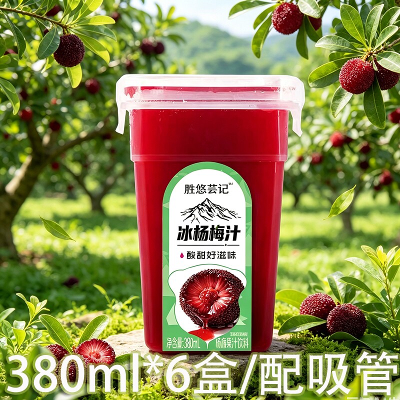 正宗冰杨梅汁380ml*6盒夏天风味果汁饮料酸梅汤夏季饮品中秋瓶装