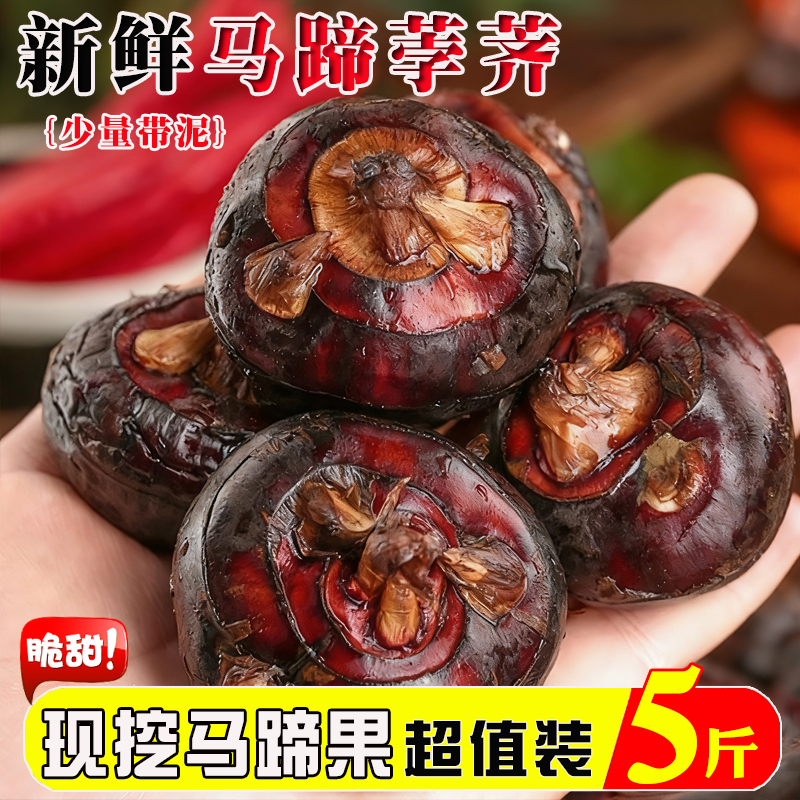 新鲜马蹄现挖农家自种大果现挖现发现挖应季水果蔬菜生吃脆甜多汁