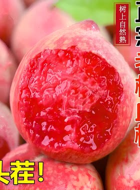 正宗新鲜老树离核血桃桃子5斤脆甜红肉当季现摘红心农家毛桃稀有