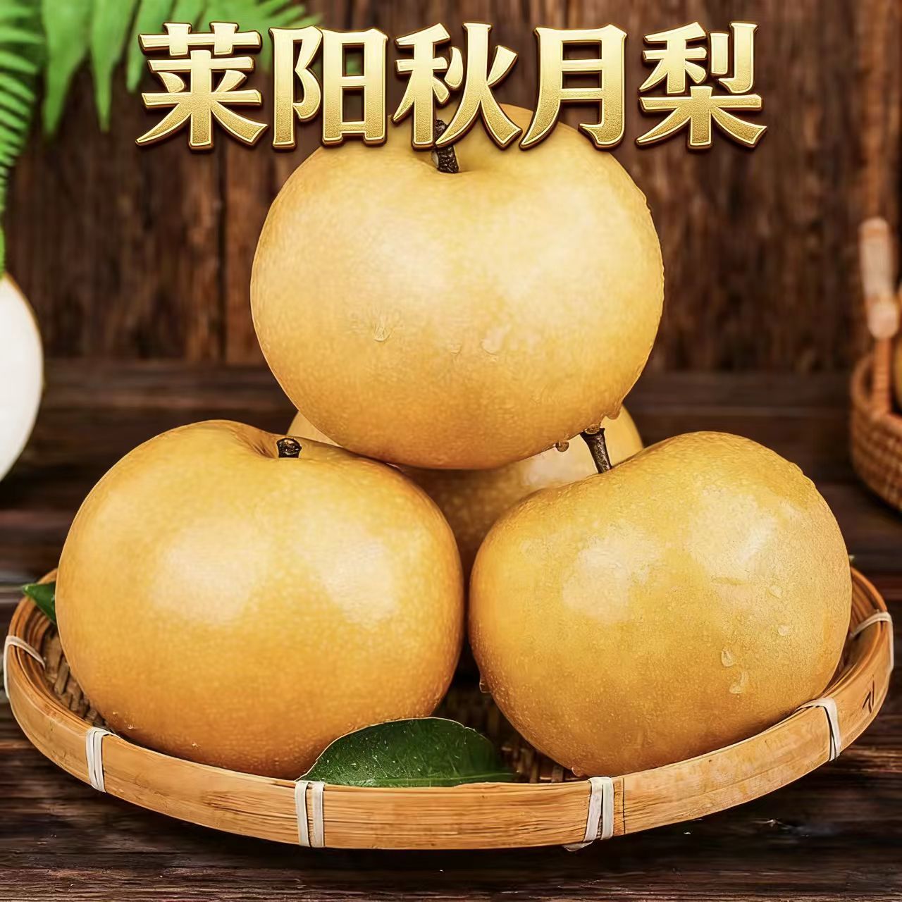 莱阳秋月梨秋冬必备水果