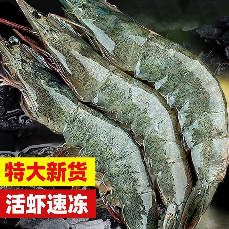 大虾鲜活特大号盐冻基围虾海鲜生鲜冻虾白虾水产速冻冷冻新鲜批发