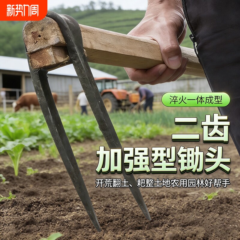 农用锄头农具挖土开荒种地二齿三齿松土种菜挖笋锻打翻地翻土木柄