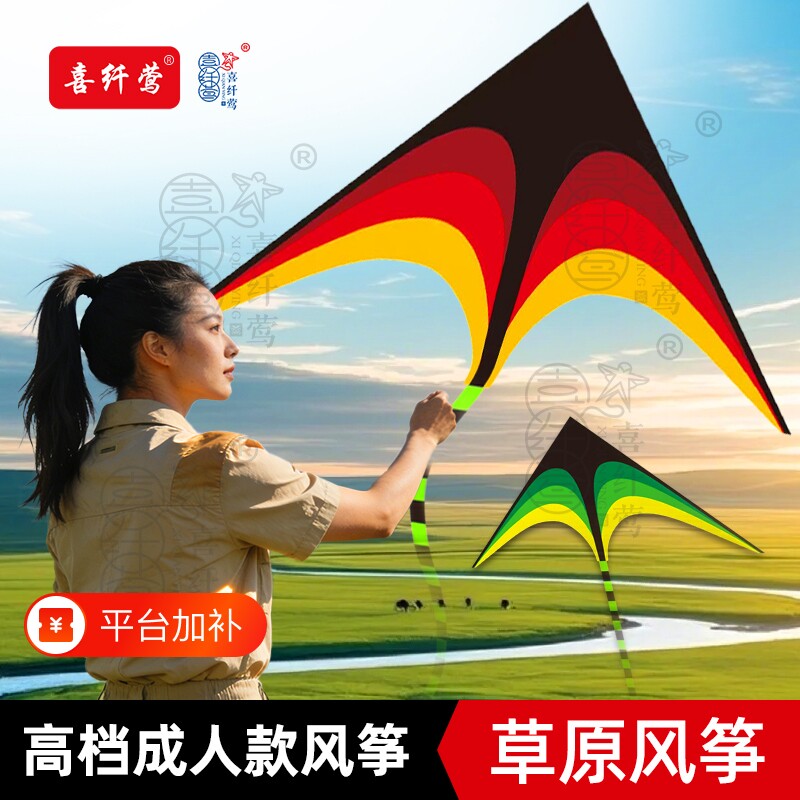 潍坊风筝新款微风易飞大人专用成人儿童中大型风筝