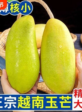 正宗越南青玉芒精选中大芒果新鲜现摘水果当应季一整箱大果年货节