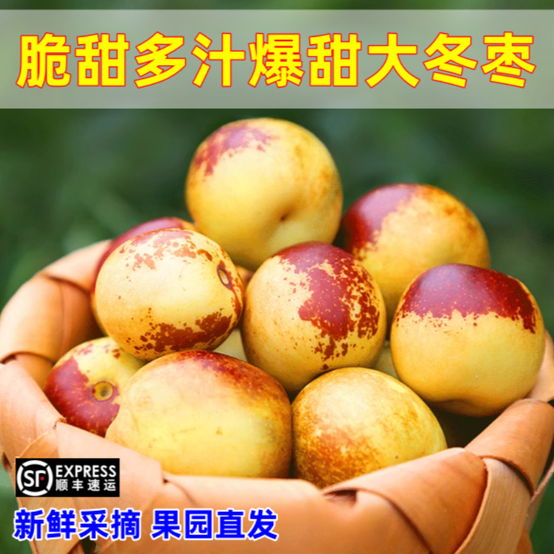 顺丰包邮正宗冬枣新鲜大果应季整箱枣子现摘脆枣冰糖大枣当季水果