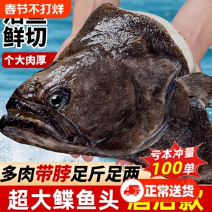 碟鱼头冷冻鲽鱼头超大鸦片鱼头深海新鲜比目鱼商用批发蝶鱼头海鲜