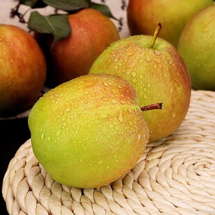 玉露香梨批发新鲜水果老树种植皮薄核小果肉细腻整箱包邮当季现摘