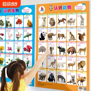 【官方正品】幼儿早教墙贴挂图3-7岁幼儿园拼音挂图蔬菜水果动物启蒙认知玩具3-7岁幼儿早教挂图蔬菜水果动植物启蒙认知学龄前教育