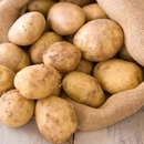 2025贵州黄心土豆新鲜现挖黄心洋芋高山农家自种批发新鲜现挖