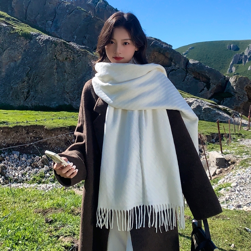 秋冬女士仿羊毛围巾披肩保暖新款流苏护颈围脖礼物黑色紫色酒红