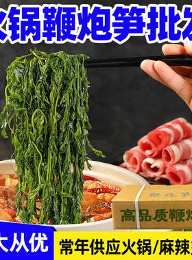 鞭炮笋炮鞭笋马尾藻火锅商用批发海草长寿菜海藻菜新鲜凉菜凉拌