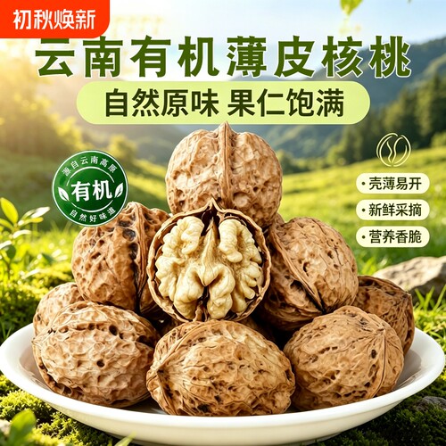 云南103纸皮有机核桃026新货薄皮