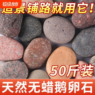五彩铺地鹅卵石铺路大号河卵石黑白石头原石鱼缸装饰天然鹅软暖石