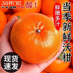 云南高山沃柑新鲜水果应当季蜜桔甜直发整箱原产地果子纯甜正常