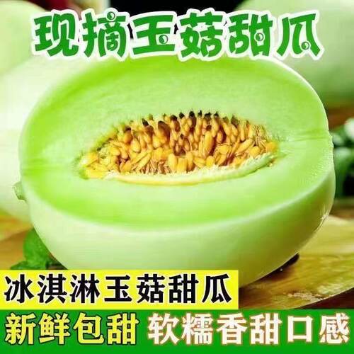 玉菇甜瓜冰激淋新鲜水果整箱包邮应季现摘玉菇脆甜白瓜优选鲜果
