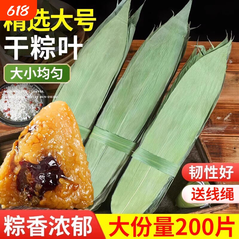粽子叶粽叶干大号棕叶新鲜包粽子的竹叶子干粽叶商用箬叶批发材料