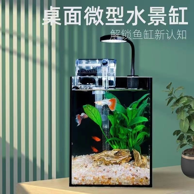 桌面造景小鱼缸加厚玻璃办公桌鱼缸书桌鱼缸免换水金鱼缸网红同款