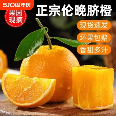 秭归正宗伦晚脐橙橙子甜橙湖北当季新鲜榨汁水果包邮整箱产地直发