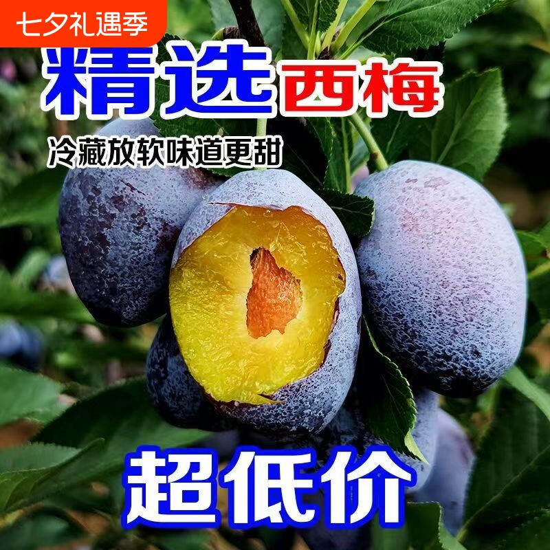 正宗新鲜采摘大西梅当季孕妇水果现摘现发西梅鲜果女神李子梅子
